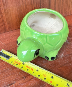 Alternative view of Ceramic Pot - Turtle